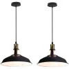 Le moins cher 🤩 AXHUP 2PCS Rétro Vintage Industrielle Lustre Suspension E27 Luminaire Adjustable Pour Salon Chambre Noir Et Blanc ✨