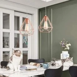 Acheter 💯 STOEX Suspensions Luminaires Vintage Lustre Plafonnier Industrielle Métal Rétro E27 Lampe De Plafond Abat-Jour Cage Or Rose Ø20CM - Seul ⭐ -Suspension Soldes 29017196 3