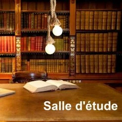 Coupon 🤩 HIASDFLS Lustre Suspension En Corde De Chanvre Double-Tête E27*2 Douille Lumière Pendante Industrielle Style Rétro Creative Lampe Réglable Diy Pour Salon Café Restaurant Hall (Jaune, 80Cm) ⌛ -Suspension Soldes 59008320 5