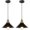 Bon marché 🎉 GGNRALNY 2x Retro Suspension Luminaire Industriel Design Edison Luminaire Plafonnier E27 Lustre Suspension En Métal, Ø 22cm (Noir 2 PACK) ❤️